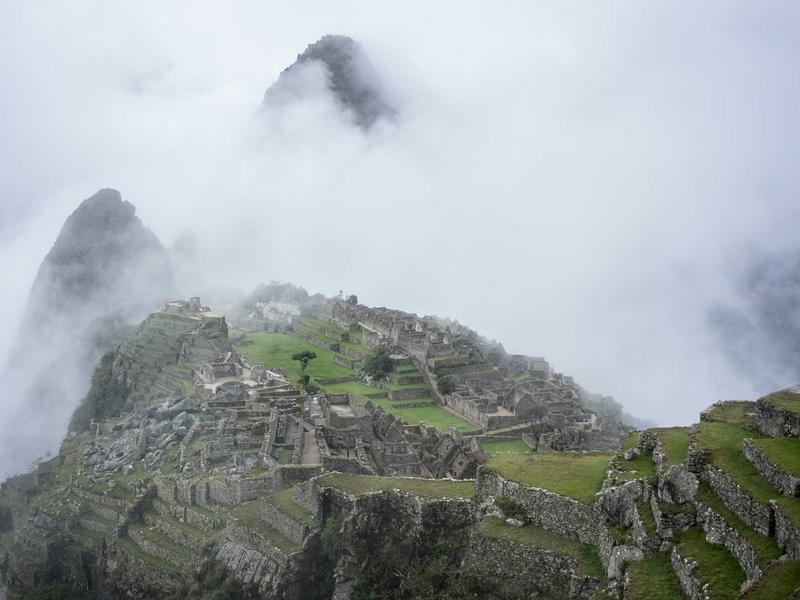 sudoku undo feature screenshot 2