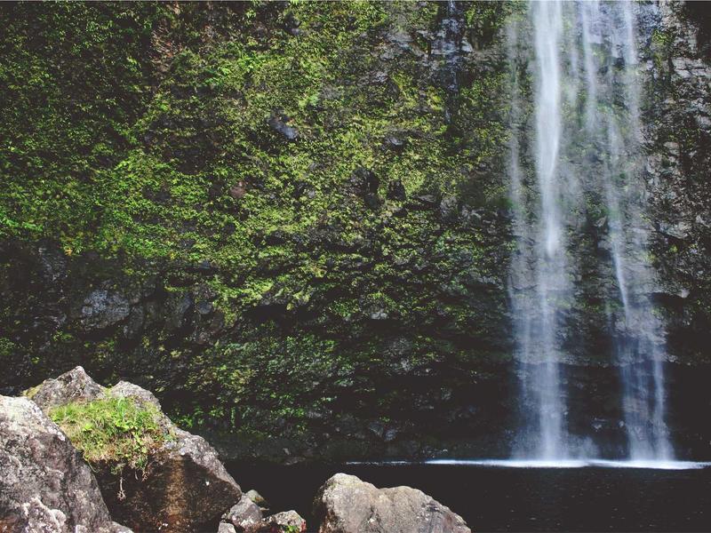 sudoku undo feature screenshot 3